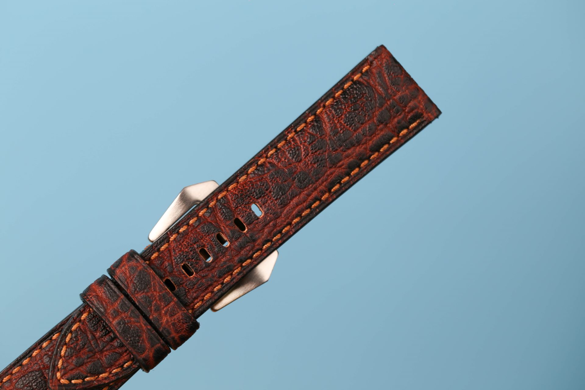 Black Burgundy Elephant Watch strap 24mm (6)