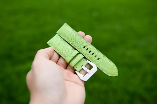 Green toad watch strap (1)