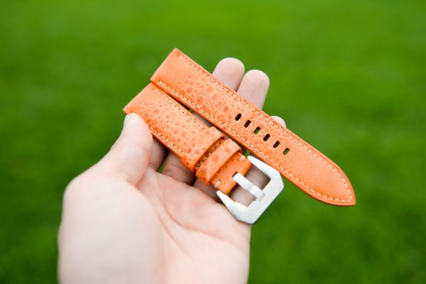 Orange toad watch strap