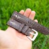 double pearl chocolate brown stingray watch strap (3)